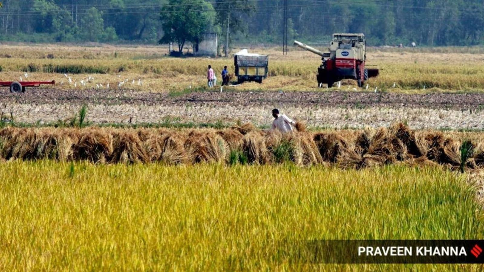 Ambala Commissioner’s order puts 810 acres of prime Panchkula land in state crosshairs