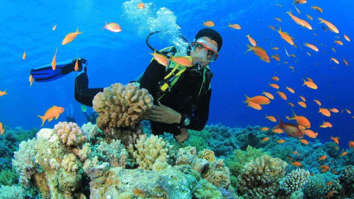 Beneath the Blue: How Andaman’s Karen and Ranchi Youth Are Reclaiming the Ocean