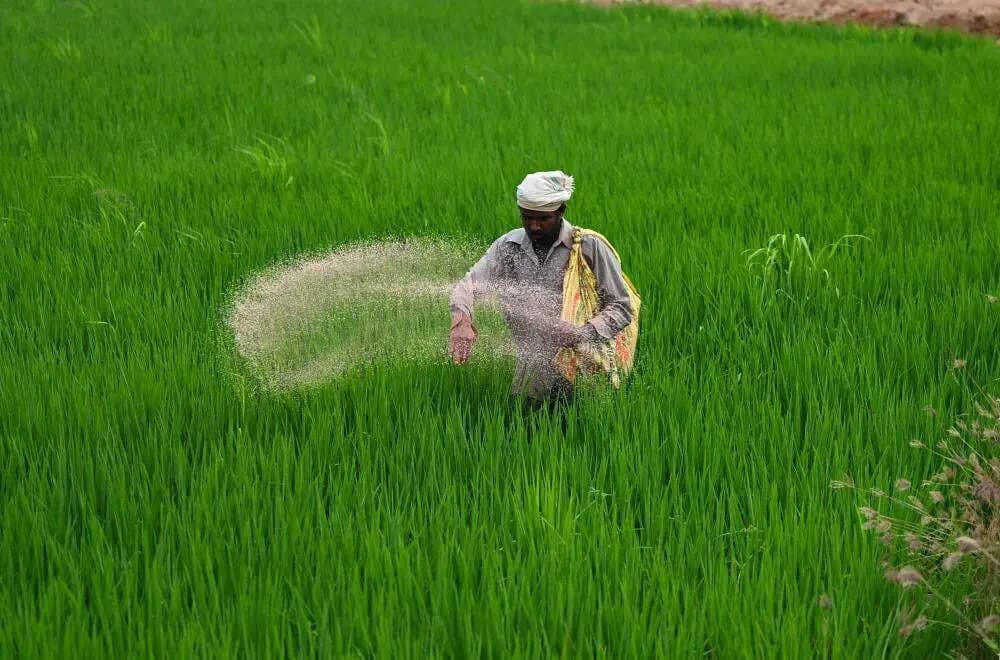 खेतों से परे: पश्चिम एशिया में अस्थिरता के बीच भारत को उर्वरक सुरक्षा पर पुनर्विचार क्यों करना चाहिए