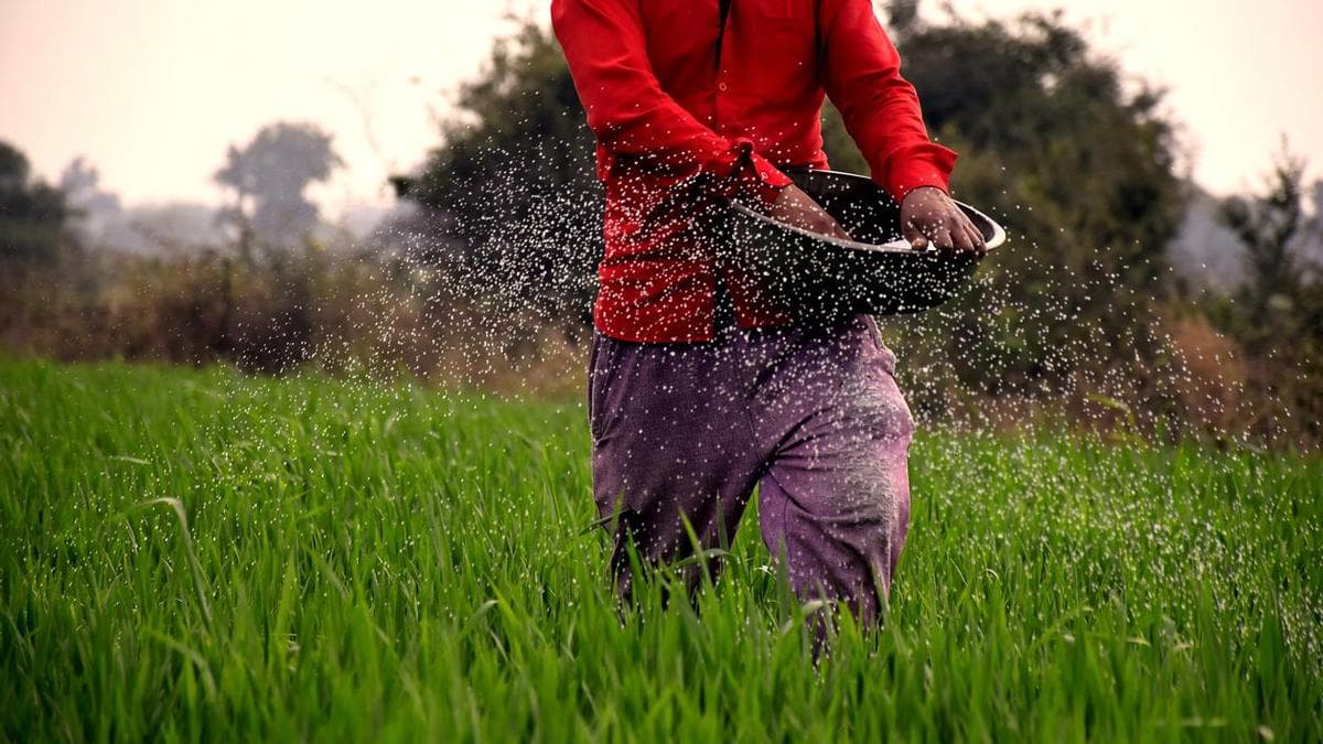 अनुमान से आगे: गुजरात में खेती की तस्वीर बदल रहे सॉइल हेल्थ कार्ड