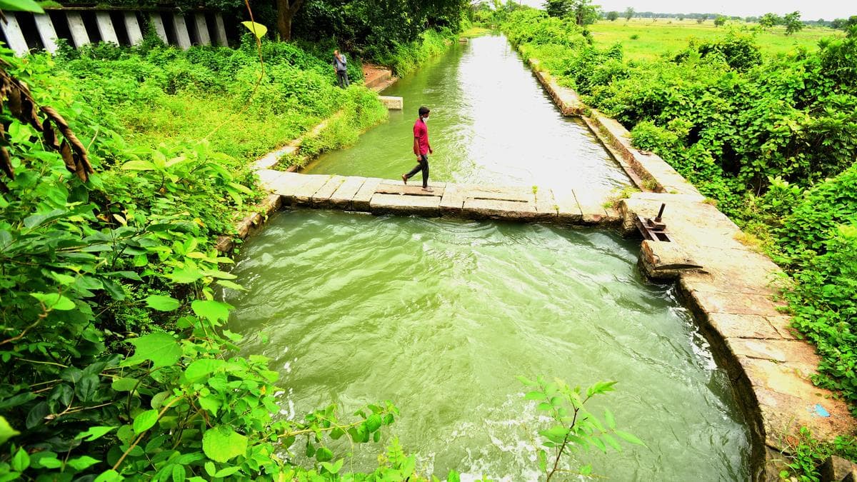 Echoes of 1876: How the Emerging El Nino Stirs Memories of India’s Great Famine
