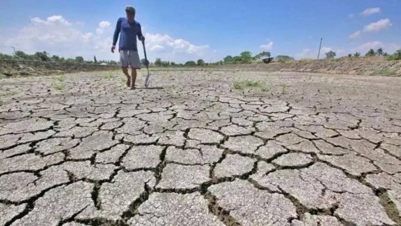 El Nino Emerges as Pacific Ocean Temperatures Hit Warming Threshold