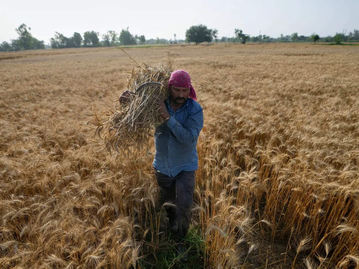 El Niño clouds loom over kharif crops: What a sub-par monsoon means for your wallet