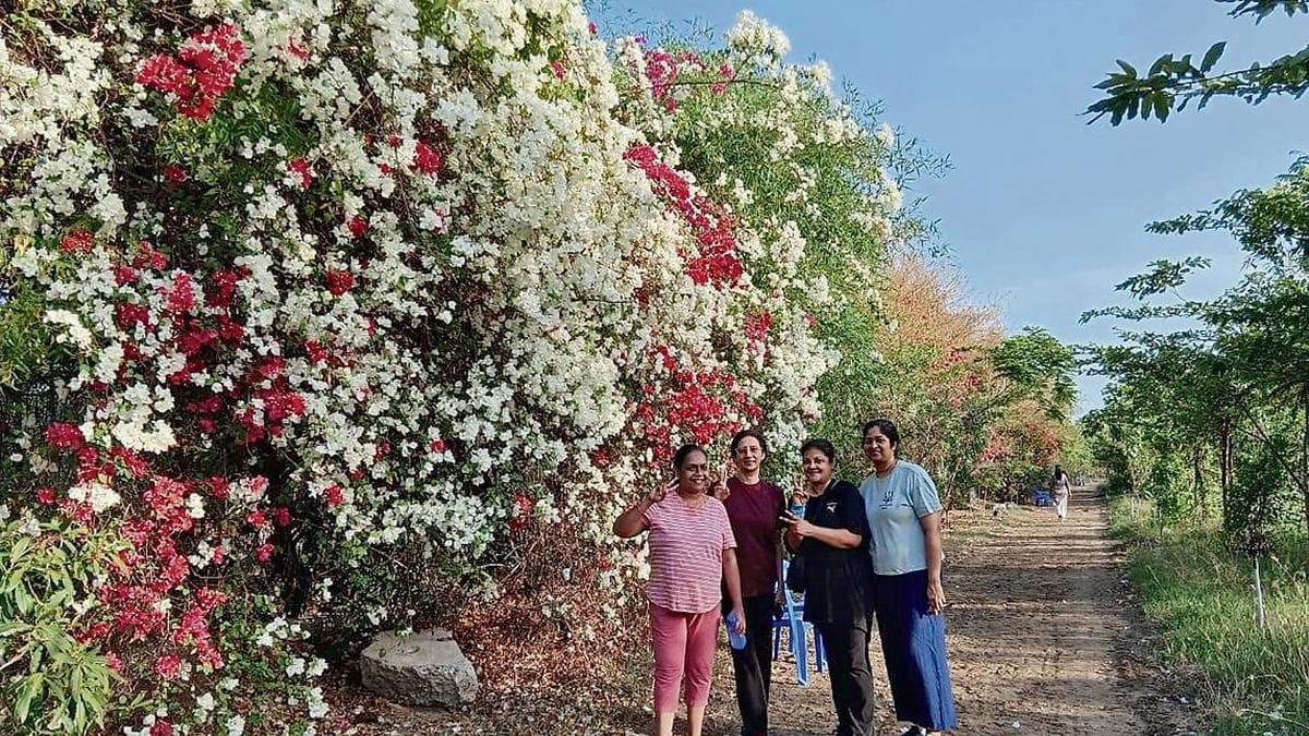 From Burnt Soil to Biodiversity: How Residents Revived a Green Corridor