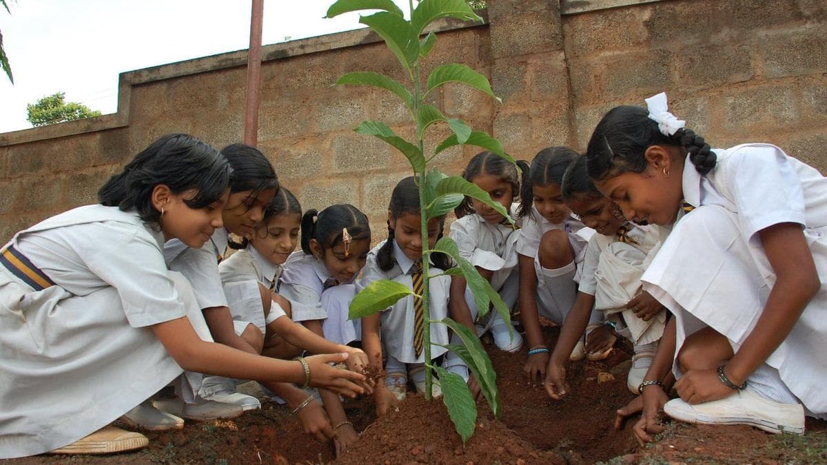 From Concrete Jungles to Green Canopies: Why Trees are Our Best Defence Against Rising Heat