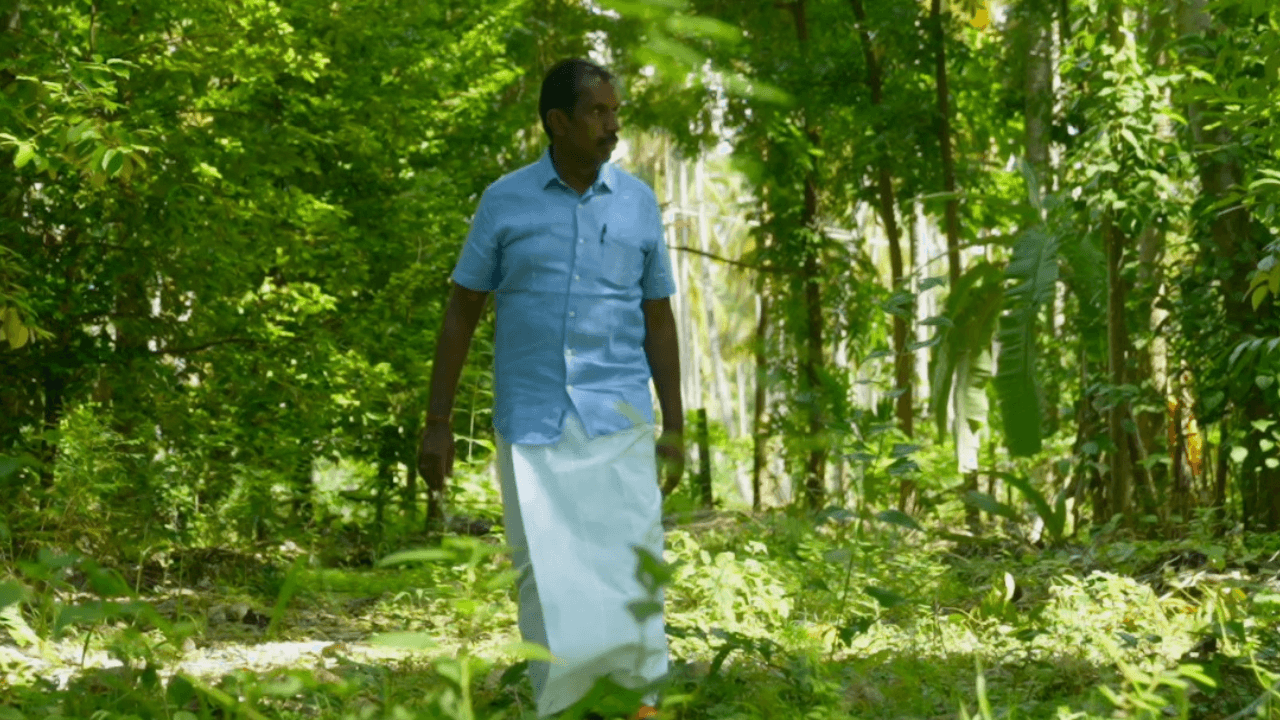 From Debt to Prosperity: How Tree-Based Agriculture is Transforming the Cauvery Basin
