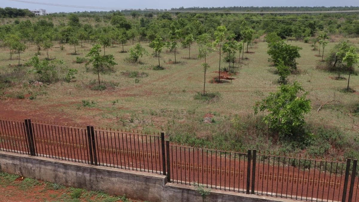 From Dust to Canopy: How MGNREGA Revived a Barren Stretch in Bidar