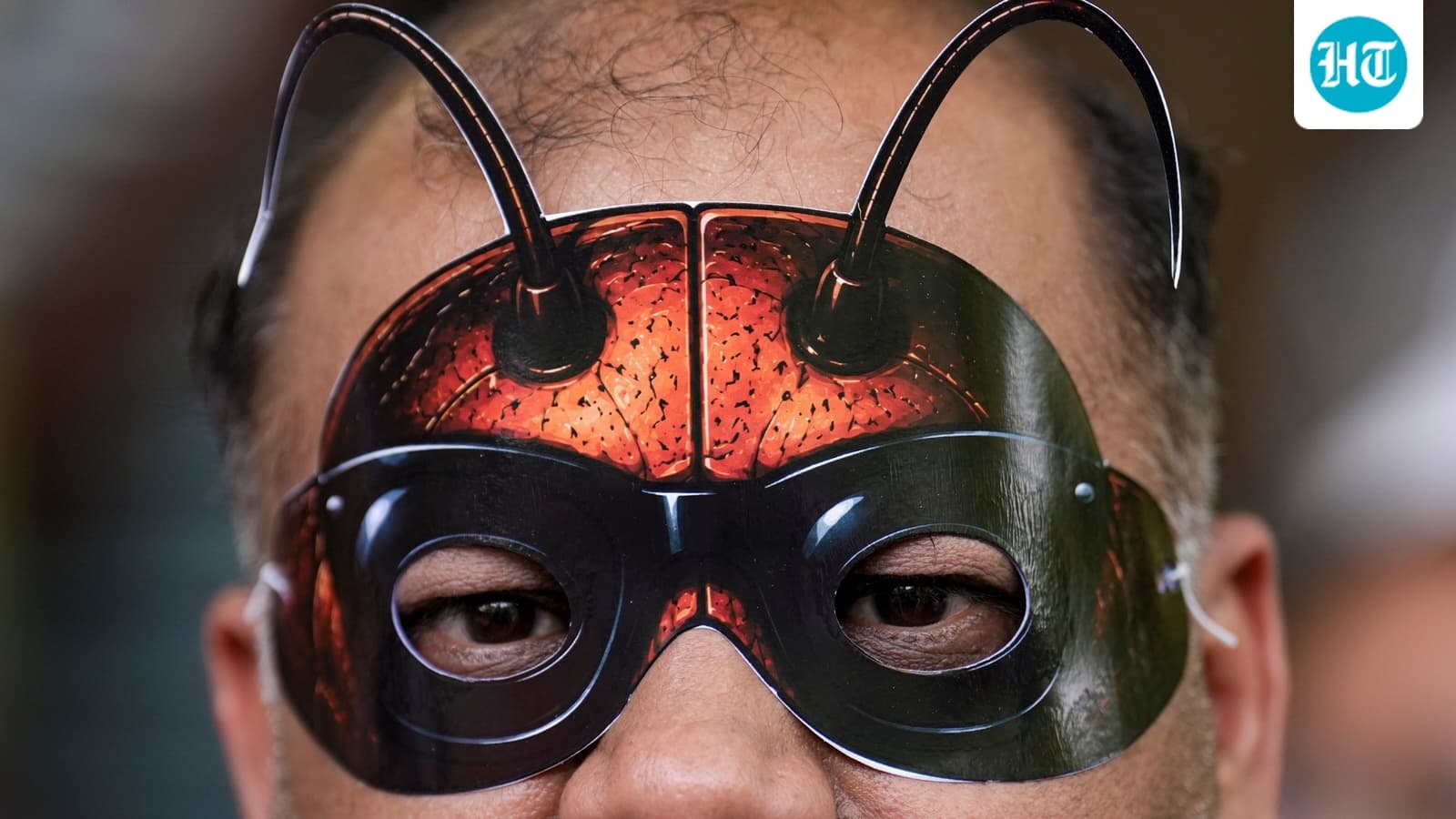 From Online Buzz to Jantar Mantar: The 'Cockroaches' Movement Faces Reality Check in Delhi