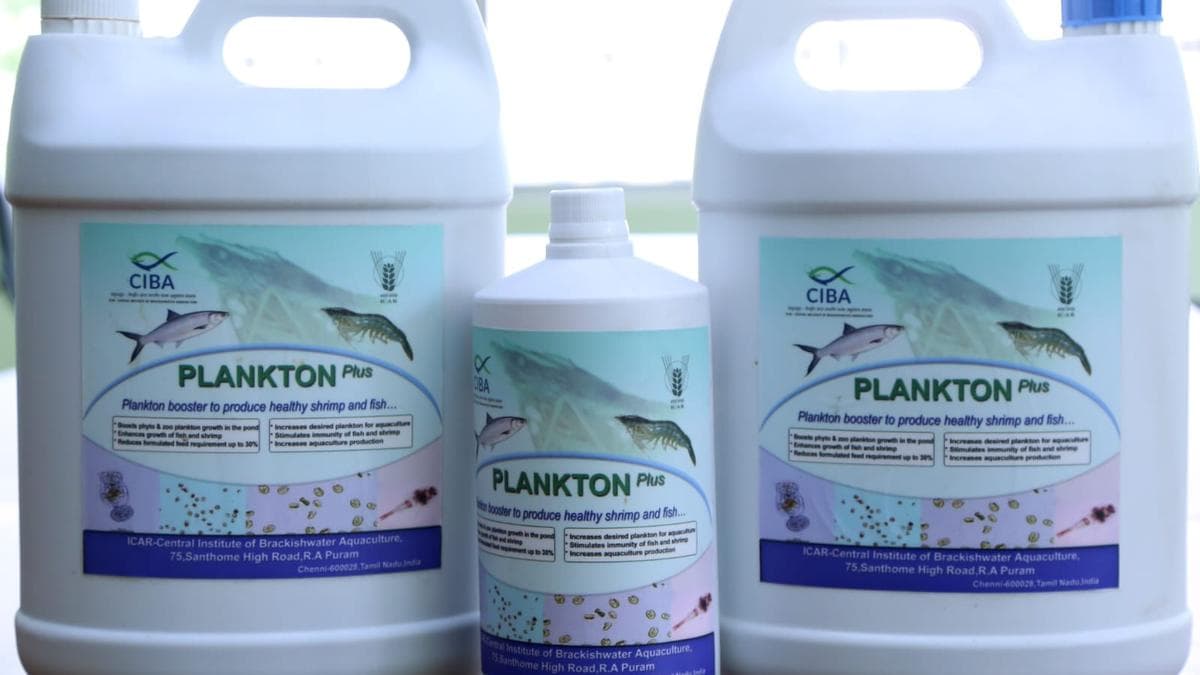 From Waste to Wealth: Chennai Scientists Turn Fish Scraps into Sustainable Fertiliser