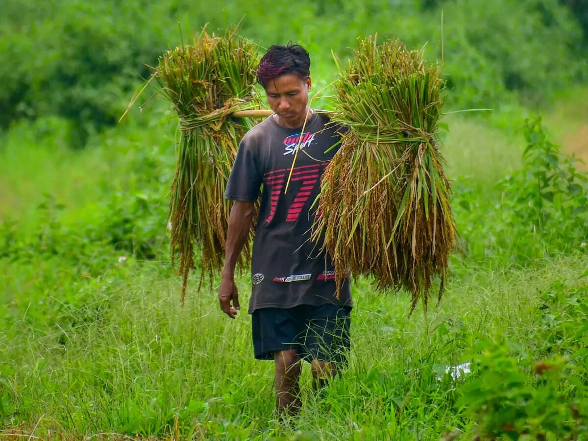 Odisha Doubles Rice Milling Charges to Streamline Paddy Procurement Process