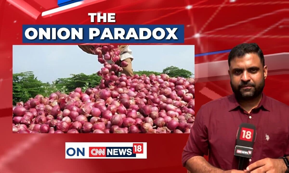 Onion Farmers in Crisis: Why Maharashtra’s Agri-Belt is Reeling from a Catastrophic Market Collapse