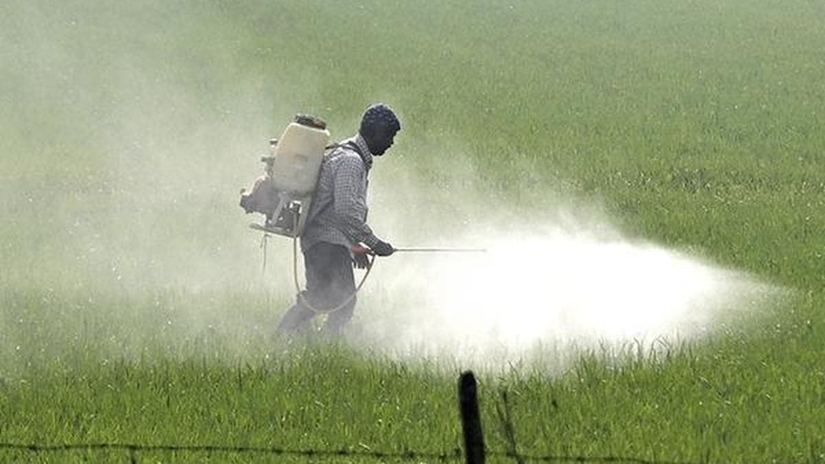 Silent Crisis in Rajasthan: 535 Farmers Died Following Unsafe Pesticide Exposure