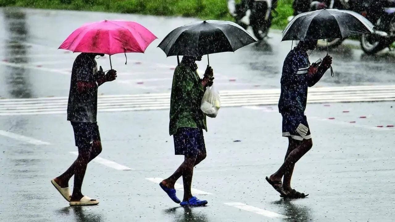 Southwest monsoon arrives in Kerala after three-day delay