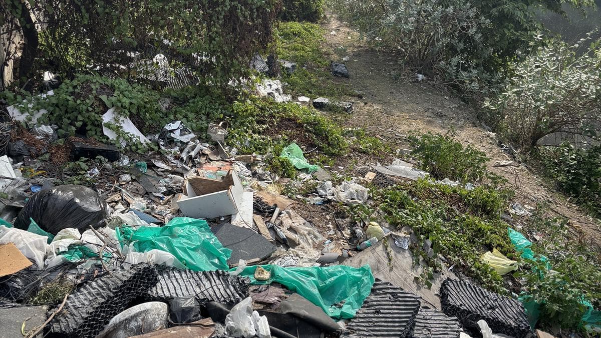The Cooum’s grim harvest: Why Chennai’s river remains a dumping ground