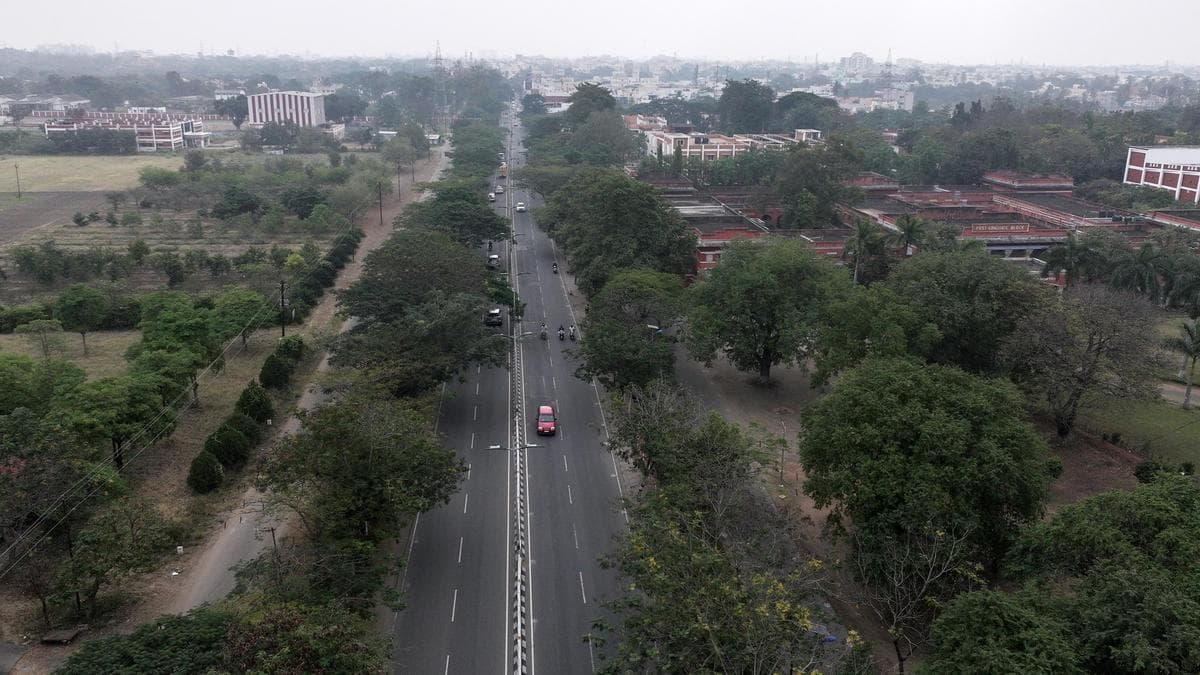 Vanishing Greenery: Coimbatore Faces Crisis Amid Unabated Illegal Tree Felling