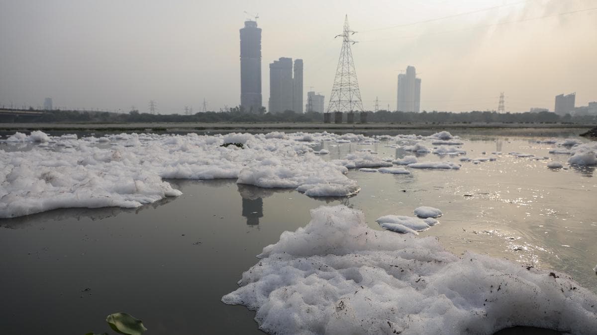 Yamuna Cleanup Push: CM Rekha Gupta to Spearhead Riverfront Drive on June 14
